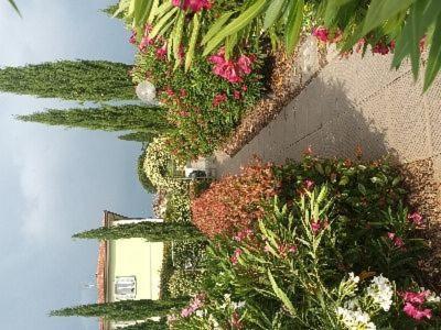 Villa Manuela Алтопасчио Экстерьер фото